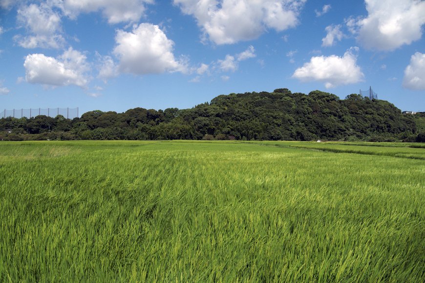 【平均貯蓄1800万】東京や神奈川ではない意外な「おいしい」県がお金持ち