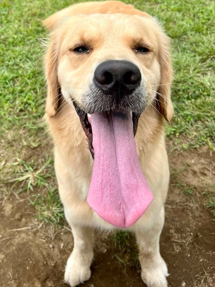 出所：@pu_channeldesu