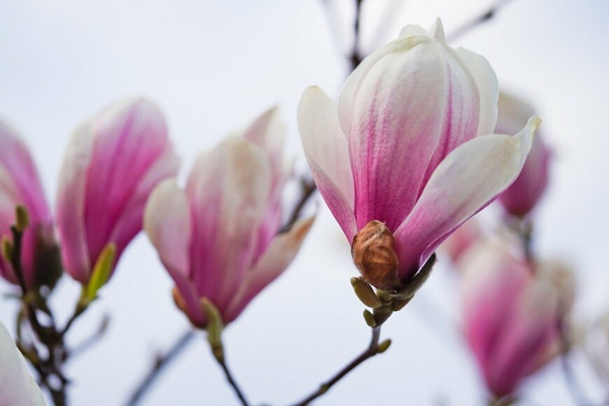 Tatyana/istockphoto.com