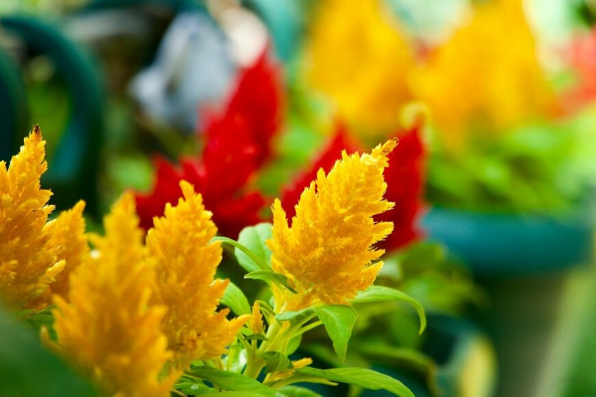 I've been a professional cameraman for 20 years./shutterstock.com