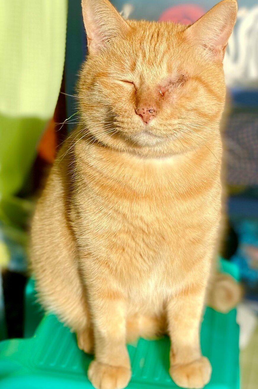 出所：@luna7taka9