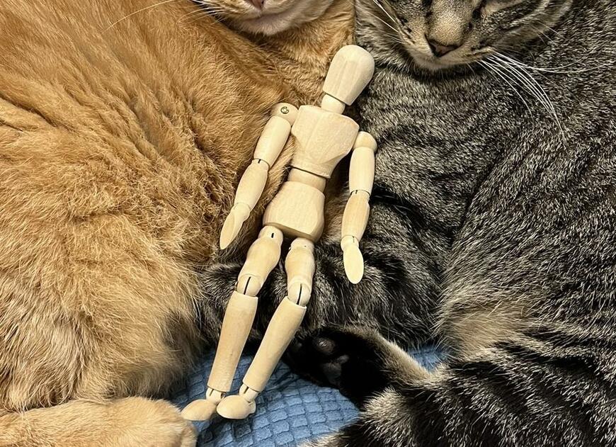 出所：@kagisuzu0531