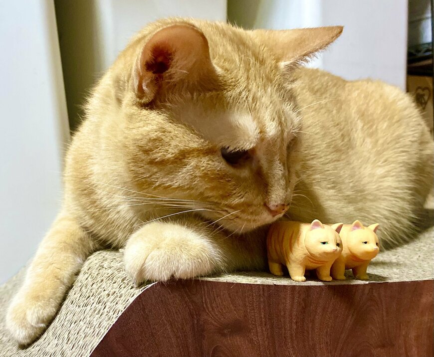 出所：@luna7taka9