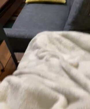 出所：@00shitemita