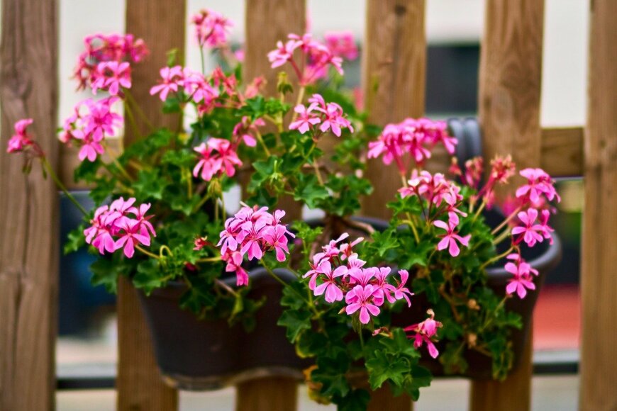 Jose Gulias Trigas/istockphoto.com