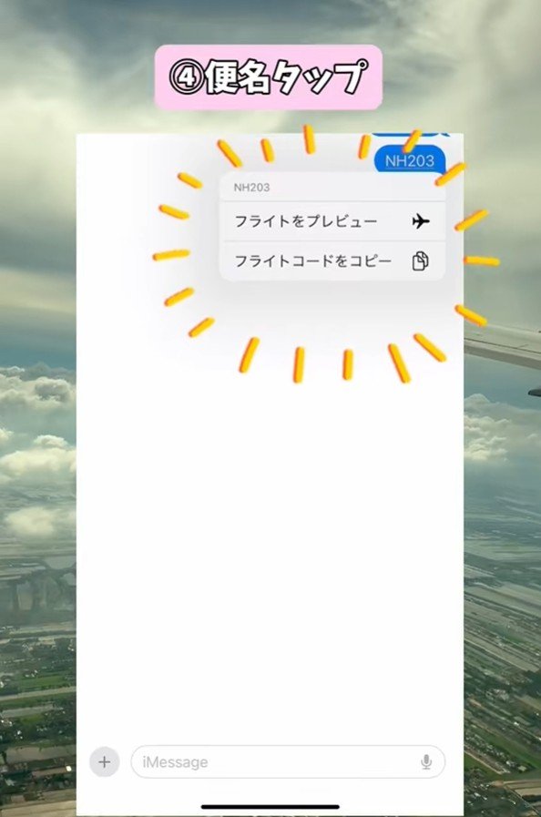 出所：@akko_san_dayo「家族も安心！安全対策としても、飛行機乗る時はこれやってね」
