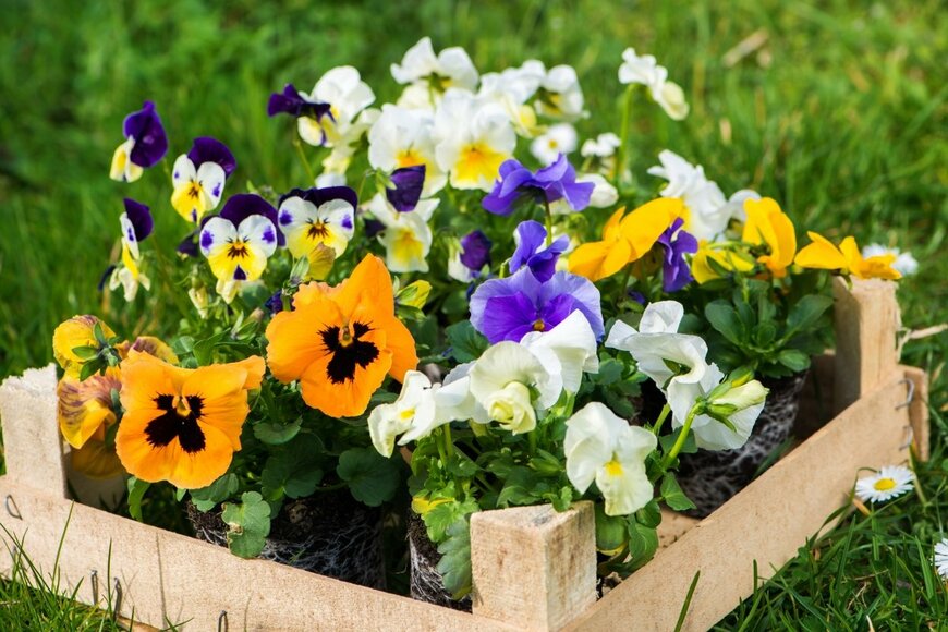 Dora Zett/shutterstock.com