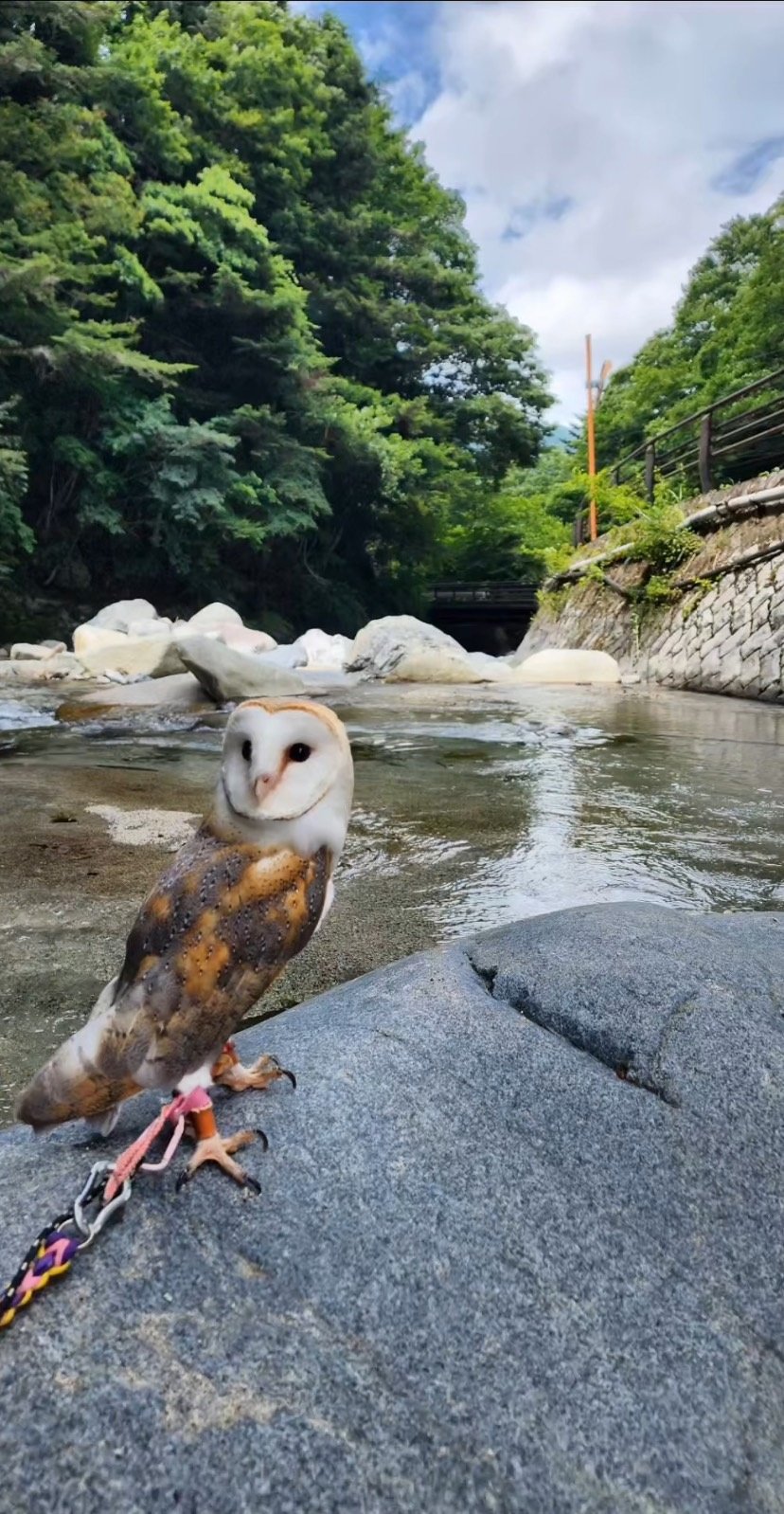 出所：@miki4wan108