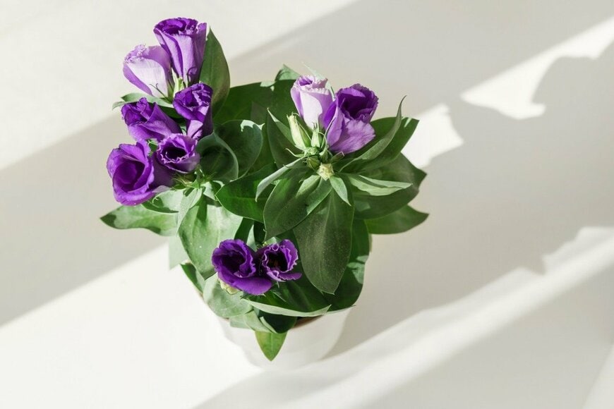 Yummy pic/istockphoto.com