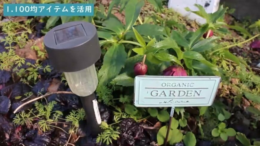 【ガーデニング代節約】庭作りの達人が教える《100均アイテム》活用術「ガーデンライト」で庭を華やかに大変身！