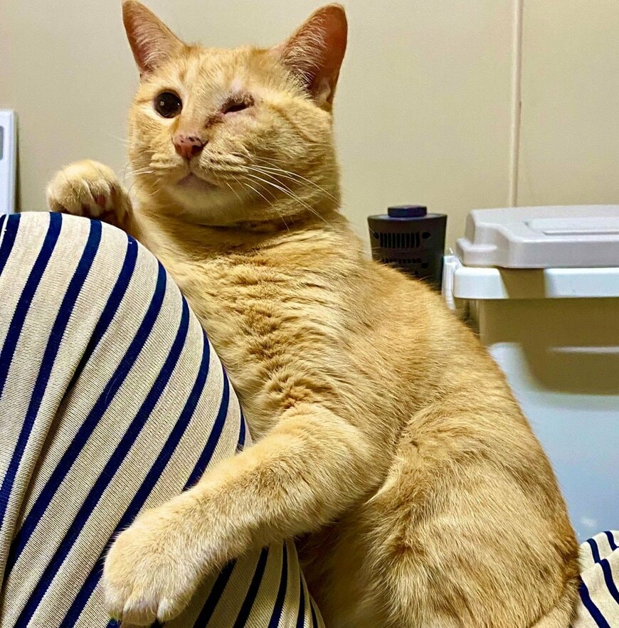 出所：@luna7taka9