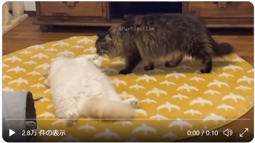 出所：ぽてねのアポロ@Hachicotton