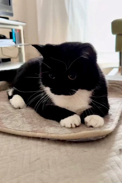 出所：@unicouniuni3