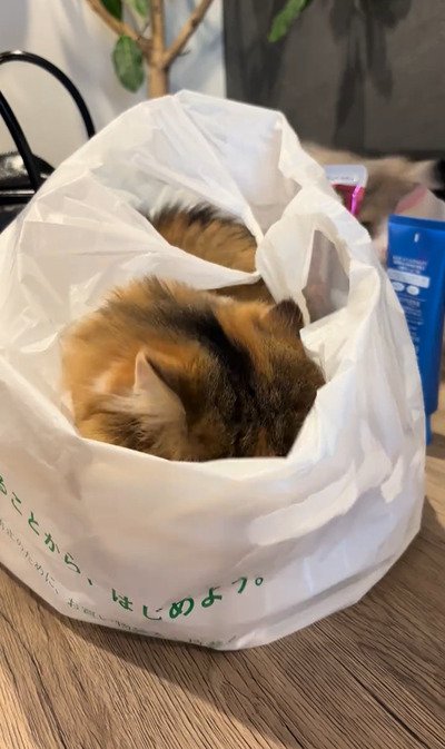 出所：＠maguro_hokke