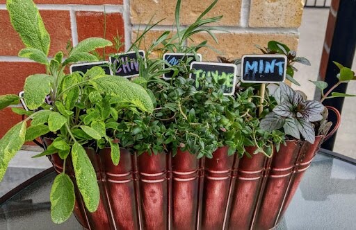 helen vt/shutterstock.com