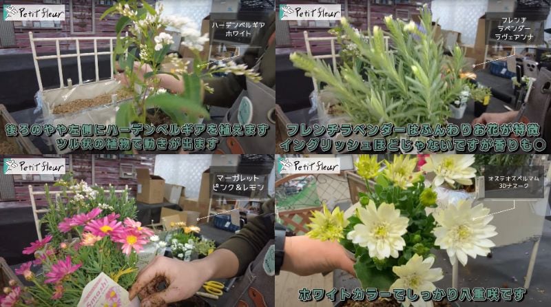 出所：@petit_fleur