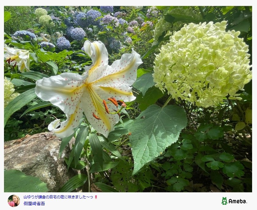 假屋崎省吾のAmebaブログ投稿