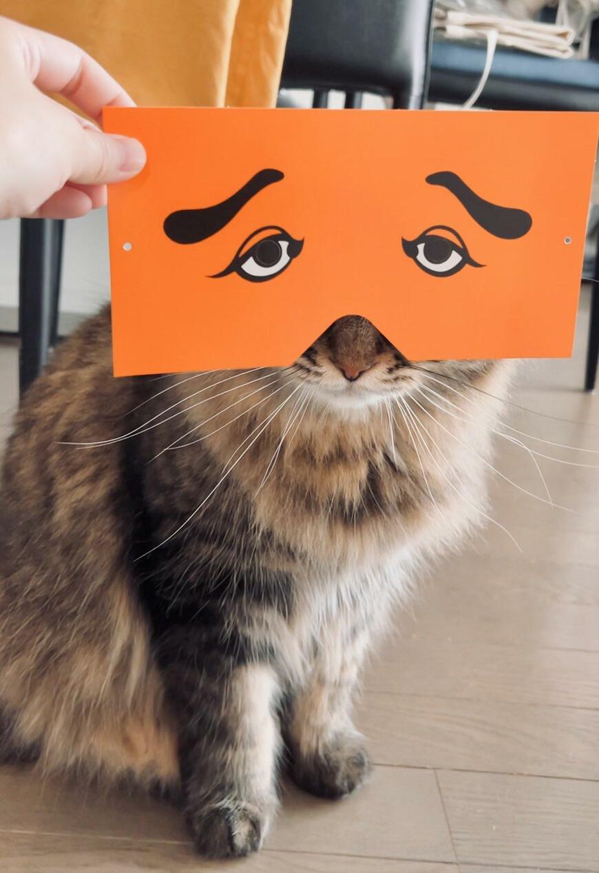 お面と猫