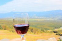 「日本ワイン」人気が上昇中。「国産ワイン」との違いは何？