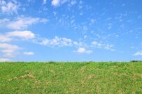 ランニング中に現れた「謎の生き物」に目を疑う　人懐こい様子に「なんで近寄ってくるんだろう」