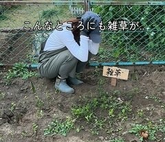 戸建て住宅の〈雑草が目立つ庭〉→女性1人でできる防草シート敷きで〈美しく手入れの行き届いた空間〉に変身！「コツコツやります！」と反響