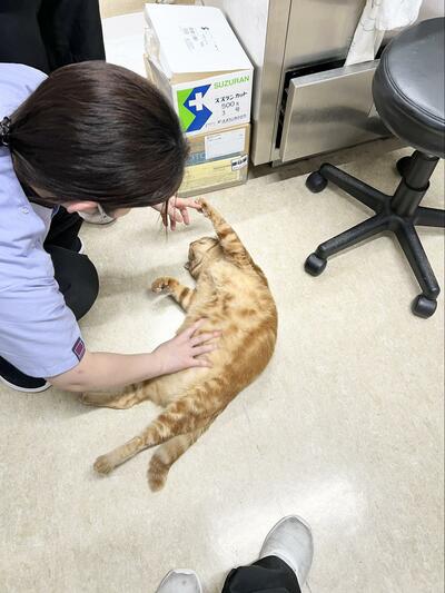 無防備な姿にホッコリ