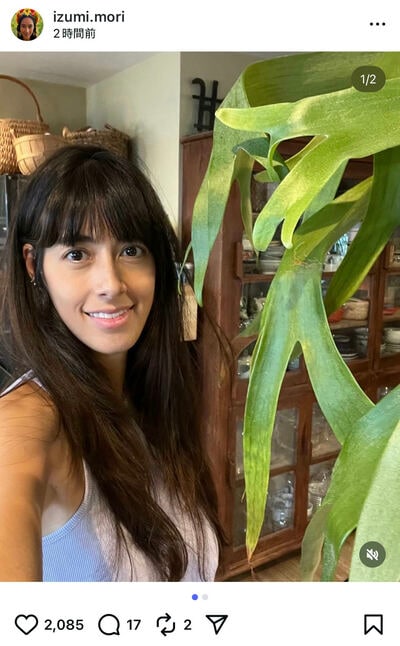 森泉のInstagram投稿