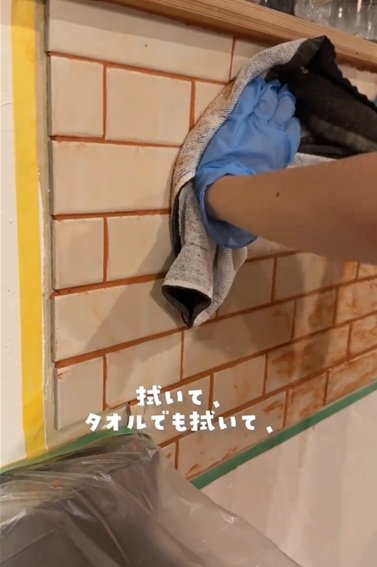 投稿動画のワンシーン