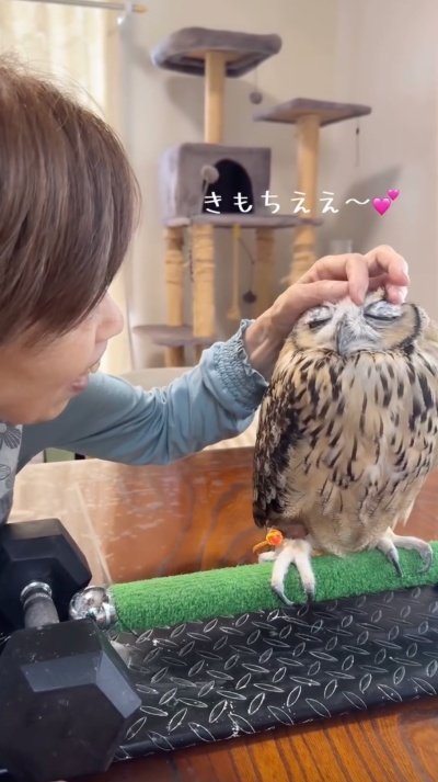 投稿動画のワンシーン
