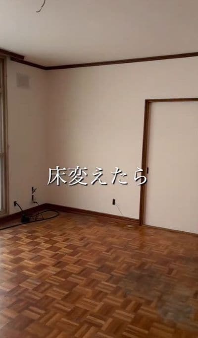 投稿の画像