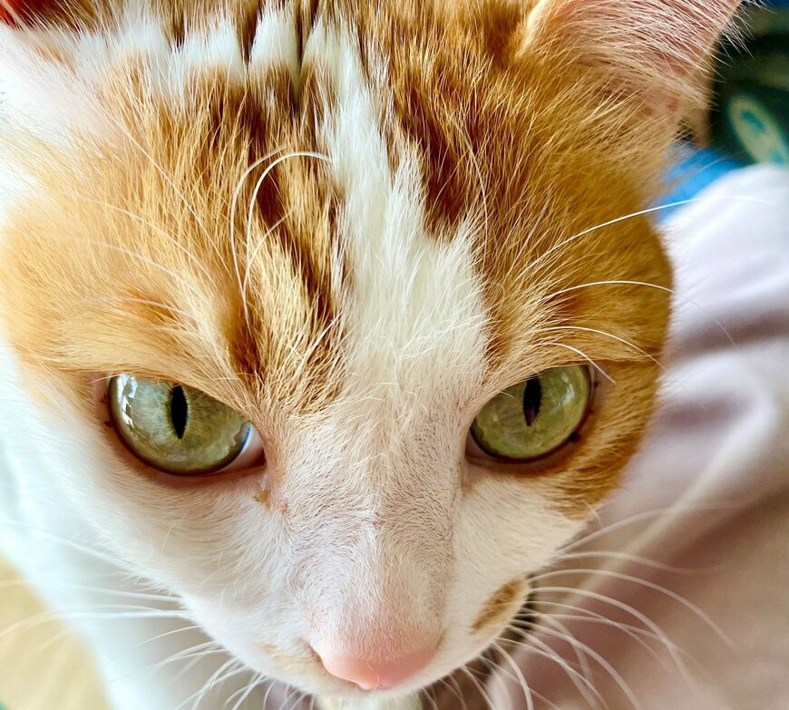 出所：@luna7taka9