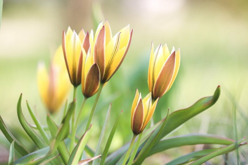 Inga_Ivanova/shutterstock.com