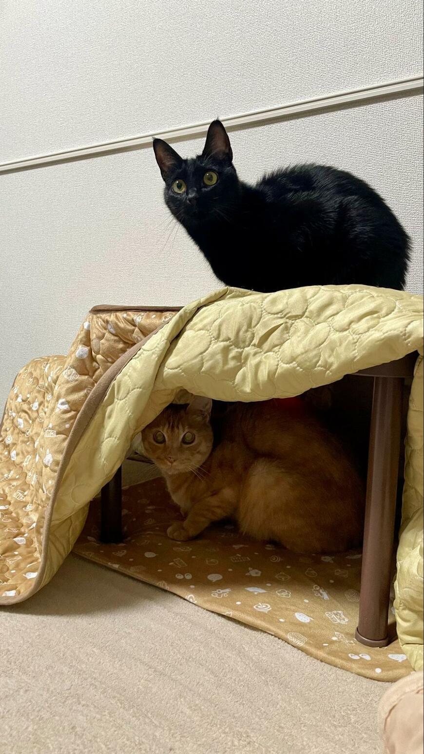 出所：＠Teagle_Noir