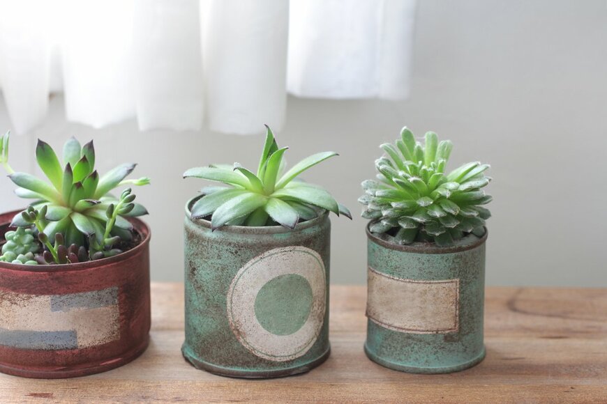 sogane/Shutterstock.com