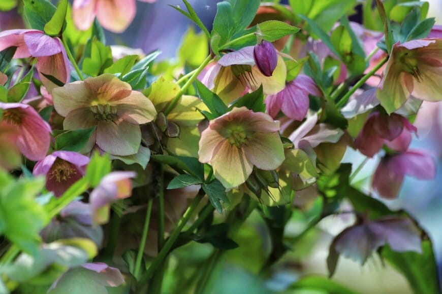 Kabar/shutterstock.com