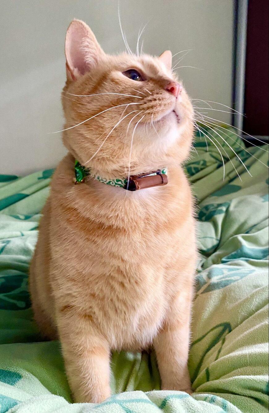 出所：@luna7taka9