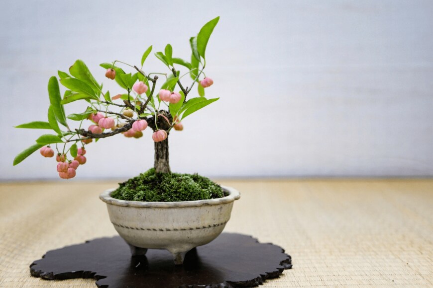 croquette/istockphoto.com