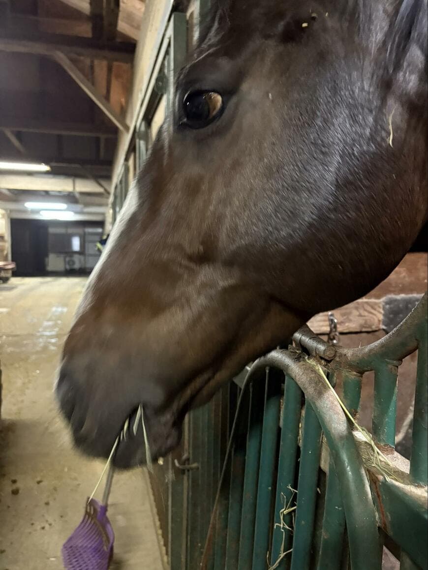 出所：@StableRyoma