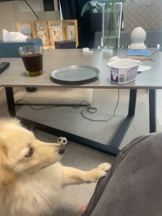 出所：@monaka_0507