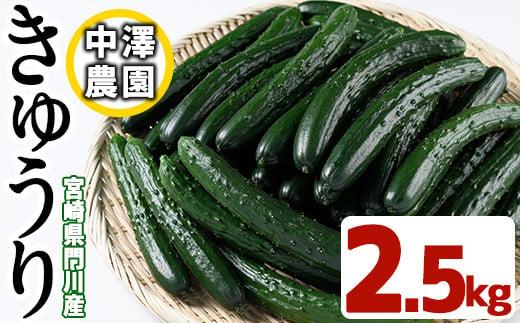 出所：ふるさとチョイス　宮崎県産きゅうり（2.5kg）野菜