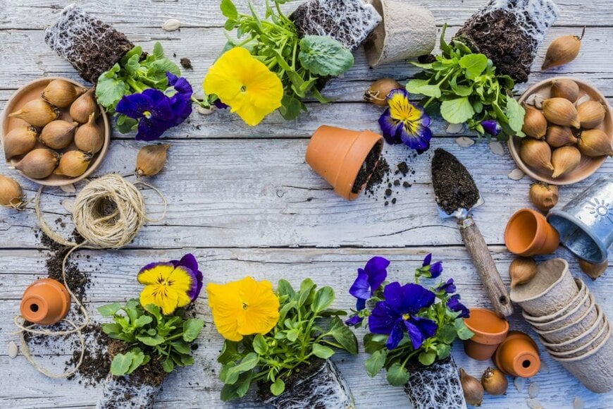 iMarzi/shutterstock.com