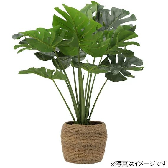 出所:ニトリ公式通販ニトリネット:「洗える鉢カバーS (ナチュラル HA)」