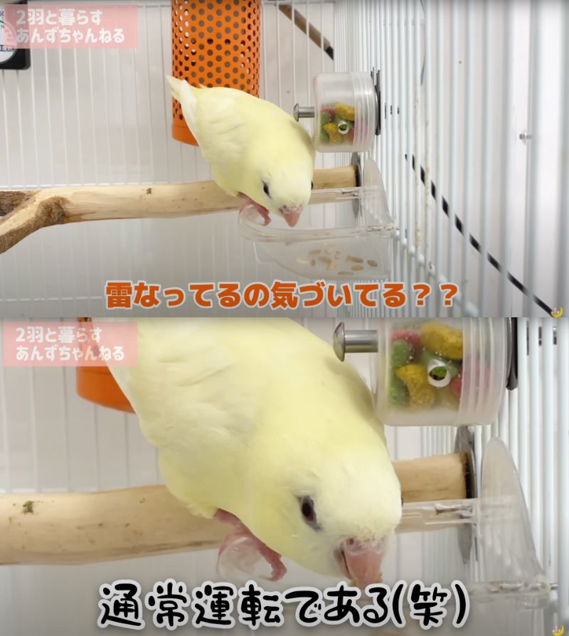 出所：@anz_omomiri