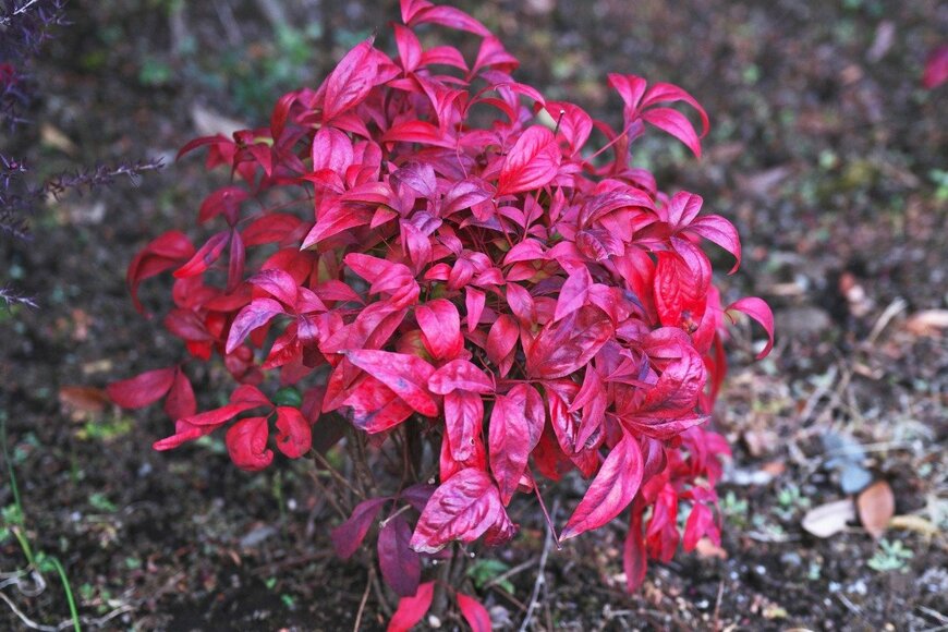 igaguri_1/istockphoto.com