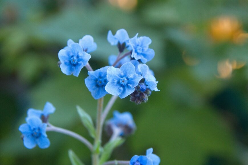 aniana/Shutterstock.com