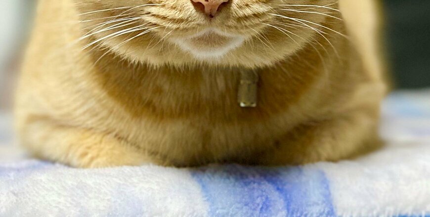 出所：@luna7taka9