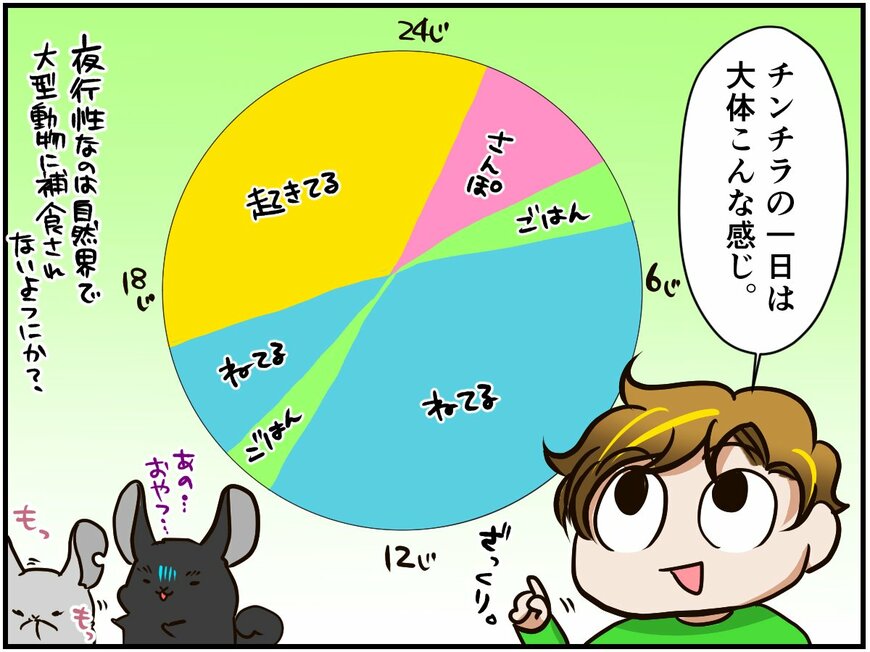 まるでドリフ!? 夜行性動物が昼間に驚く様子が古典的でカワイイ【チンチライフ35話】