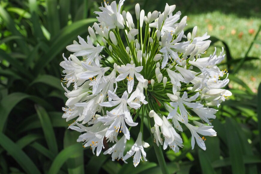 LifeCollectionPhotography/shutterstock.com