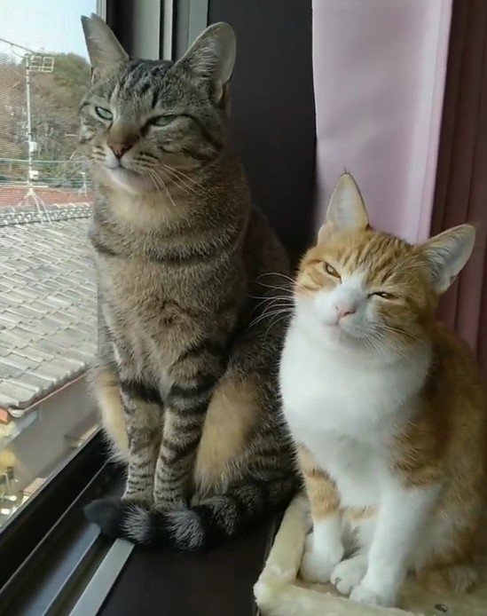 出所：@mero627puri914