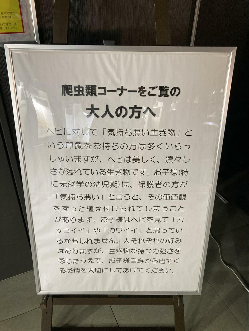 爬虫類コーナーの掲示物